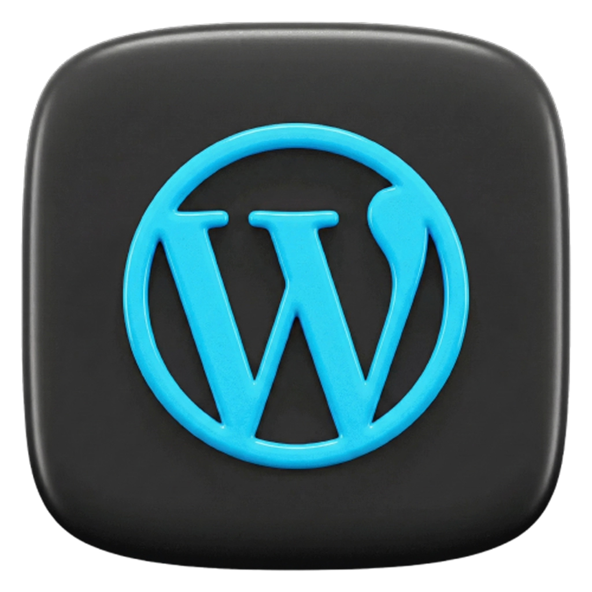 wordpress